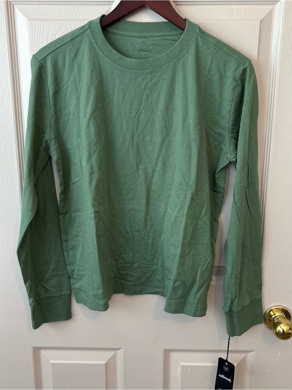 allbirds Womens Long Sleeve Crewneck Tee in Sage Green